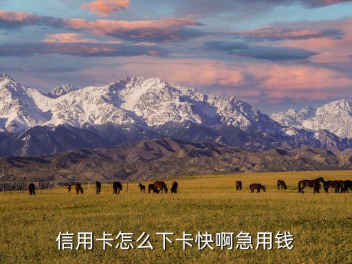 急用錢怎么辦信用卡，我想辦信用卡可是現(xiàn)在無工作要下個月才能和公司簽合同但現(xiàn)