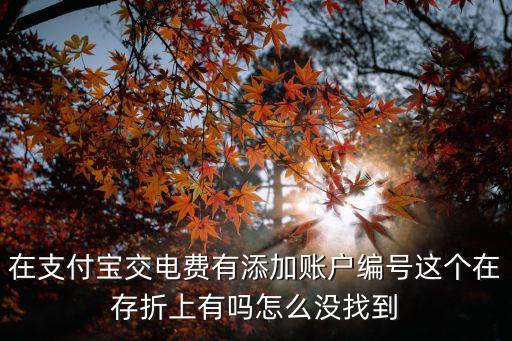 在支付寶交電費有添加賬戶編號這個在存折上有嗎怎么沒找到
