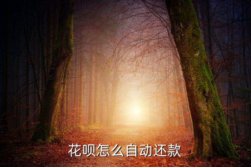 手機(jī)花唄怎么主動(dòng)還款，螞蟻花唄怎樣自動(dòng)還款