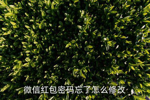 如何設(shè)置發(fā)紅包密碼忘記了怎么辦，微信紅包密碼忘了怎么改