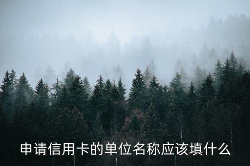 大額信用卡單位怎么填，申請(qǐng)信用卡的單位名稱應(yīng)該填什么