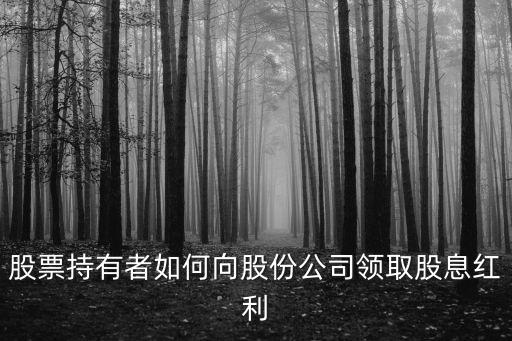 股票持有者如何向股份公司領(lǐng)取股息紅利