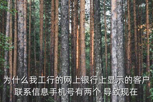 工行有兩個(gè)客編怎么辦，工商銀行的客編被別人占用了怎么辦