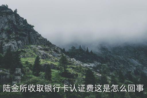陸金所信息費怎么收，儲蓄卡轉(zhuǎn)帳到陸金所可有手續(xù)費