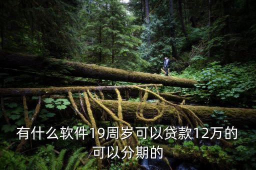 19歲怎么辦2萬的分期貸，我今年十九歲想貸款2萬分期兩年怎么貸