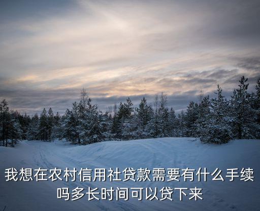 農(nóng)村信用社怎么貸款什么程序，農(nóng)村信用社如何辦理貸款業(yè)務