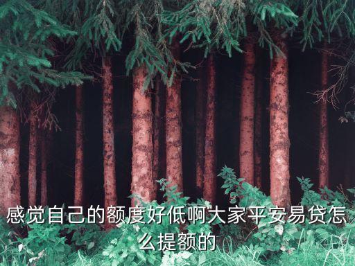 易貸卡額度怎么提升，平安易貸怎么提高額度