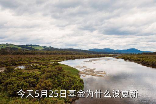 基金交易日怎么不更新，今天5月25日基金為什么沒(méi)更新
