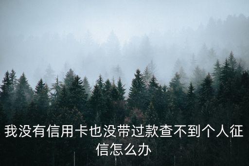 網(wǎng)絡(luò)征信怎么找不到，網(wǎng)上能查詢征信嗎