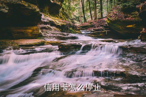 信用卡怎么停止使用，怎么停止使用信用卡