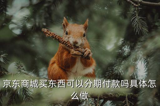 京東怎么弄分期付款，京東商城買東西怎么分期付款