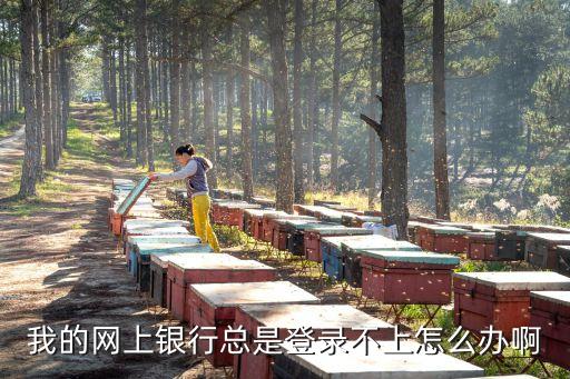 我的網(wǎng)上銀行總是登錄不上怎么辦啊