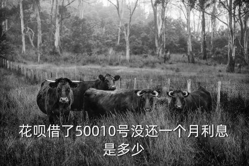 花唄借了50010號沒還一個(gè)月利息是多少