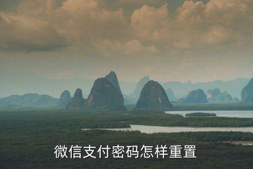 微信錢(qián)包怎么重置密碼怎么設(shè)置密碼，微信支付密碼如何重置
