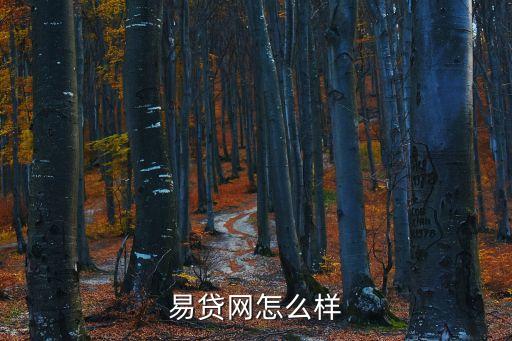 善易貸怎么樣，杉易貸的平均收益怎么樣