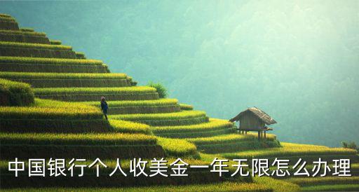 中國(guó)銀行個(gè)人收美金一年無(wú)限怎么辦理