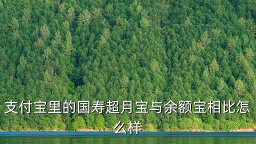 支付寶里的國壽超月寶與余額寶相比怎么樣