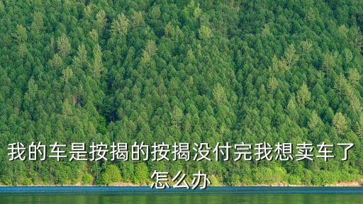 我的車是按揭的按揭沒付完我想賣車了怎么辦