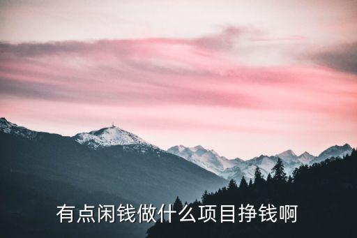 有點(diǎn)閑錢(qián)做什么項(xiàng)目掙錢(qián)啊