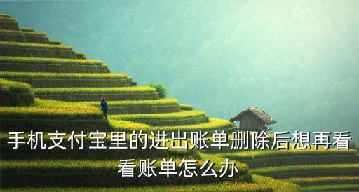 帳單俠怎么刷新賬單，手機支付寶里的進出賬單刪除后想再看看賬單怎么辦