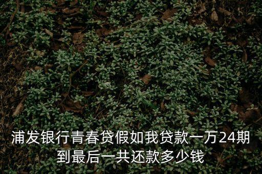 浦發(fā)銀行青春貸假如我貸款一萬24期到最后一共還款多少錢