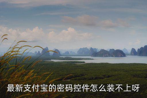 密碼控件安裝不了怎么辦，qq密碼修改頁面控件裝不起來怎么辦