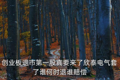 創(chuàng)業(yè)板退市第一股真要來了欣泰電氣套了誰何時(shí)退誰賠償