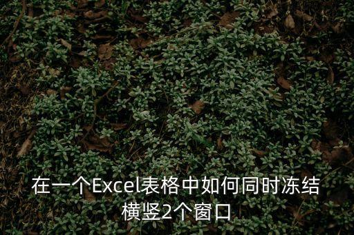 e表怎么進(jìn)行橫豎凍結(jié)，Excel中怎樣凍結(jié)橫豎兩排窗口