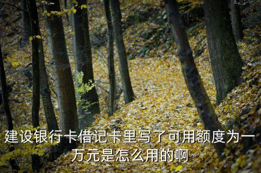 建設(shè)銀行卡借記卡里寫了可用額度為一萬元是怎么用的啊
