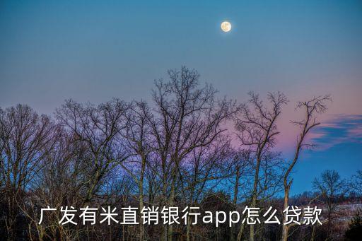 廣發(fā)有米直銷銀行app怎么貸款