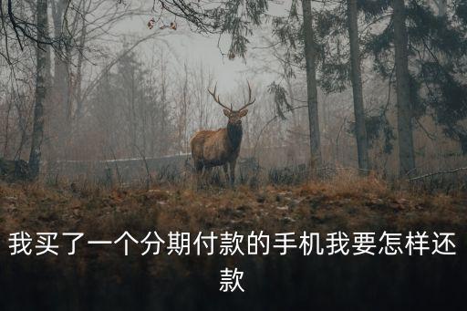我買了一個分期付款的手機我要怎樣還款