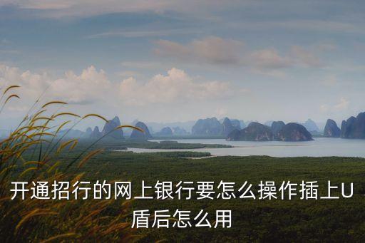 開通招行的網上銀行要怎么操作插上U盾后怎么用