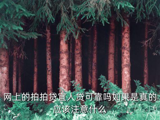 拍拍貸宜人貸貸款怎么樣，拍拍貸金融苑宜人貸下款怎么樣呢