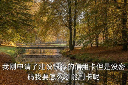 我剛申請了建設銀行的信用卡但是沒密碼我要怎么才能刷卡呢