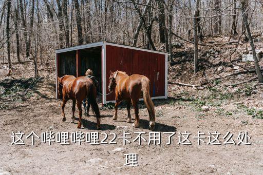 這個(gè)嗶哩嗶哩22卡不用了這卡這么處理