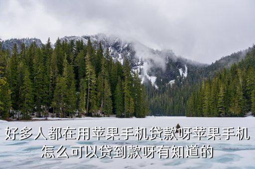 蘋果手機怎么貸款的，蘋果手機貸款怎么弄