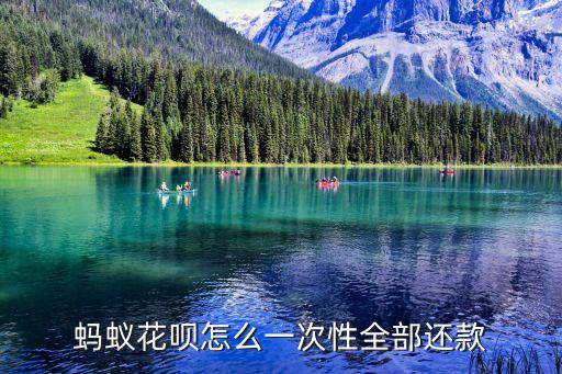 螞蟻花唄怎么一次性還清，花唄如何一次性還清