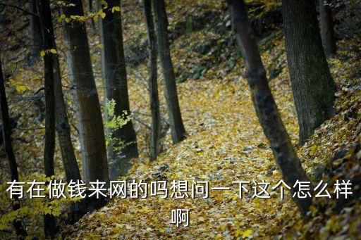有在做錢來網(wǎng)的嗎想問一下這個怎么樣啊