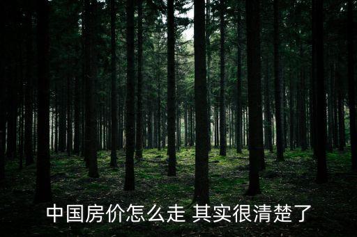 中國房價怎么走 其實很清楚了