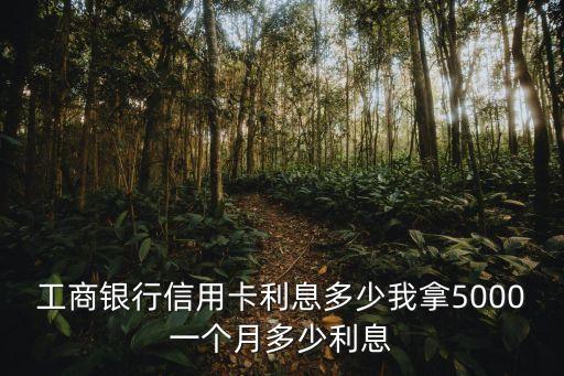工商銀行信用卡利息多少我拿5000一個月多少利息