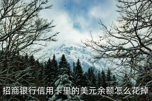 招商美元帳戶怎么用，招商銀行信用卡里的美元余額怎么花掉