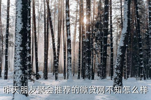 微貸網(wǎng)的新手標(biāo)怎么樣，請(qǐng)問微貸網(wǎng)有哪位朋友用過怎么樣好用嗎