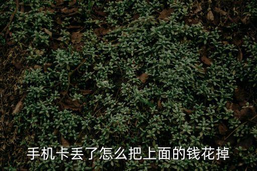 手機卡丟了怎么把上面的錢花掉