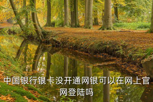 中國(guó)銀行銀卡沒(méi)開(kāi)通網(wǎng)銀可以在網(wǎng)上官網(wǎng)登陸嗎