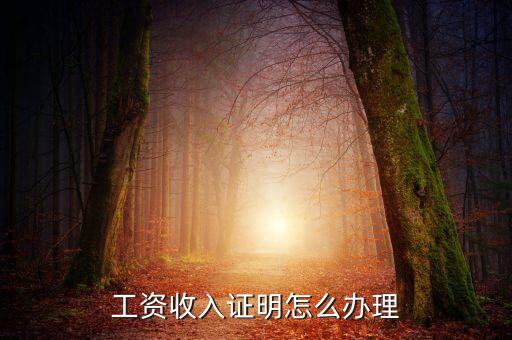 銀行流水個(gè)人工資證明怎么開，工資流水單怎么開