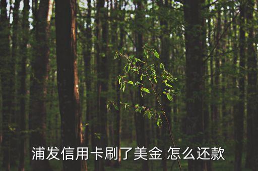 浦發(fā)信用卡刷了美金 怎么還款