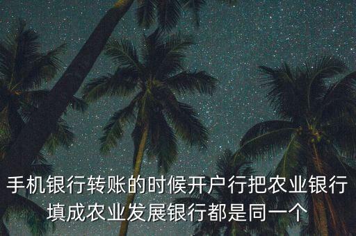 手機(jī)銀行轉(zhuǎn)賬的時(shí)候開(kāi)戶(hù)行把農(nóng)業(yè)銀行填成農(nóng)業(yè)發(fā)展銀行都是同一個(gè)