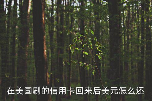 在美國刷的信用卡回來后美元怎么還