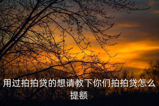 用過拍拍貸的想請教下你們拍拍貸怎么提額