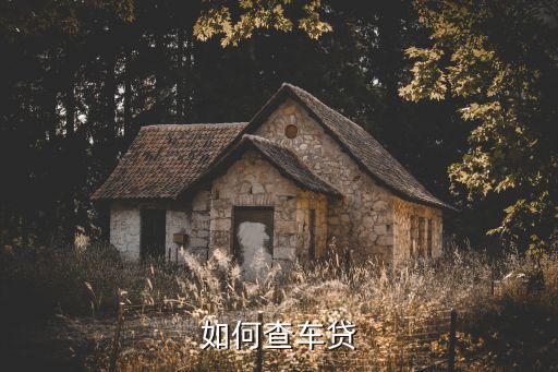 如何查車貸